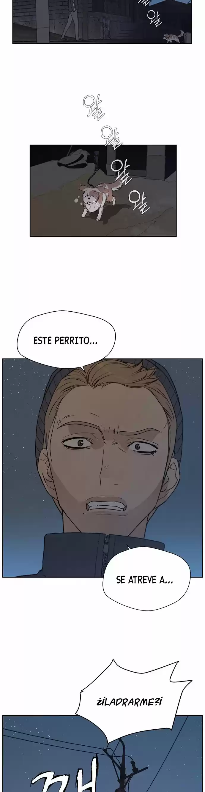 Real Man capítulo 7, página 12