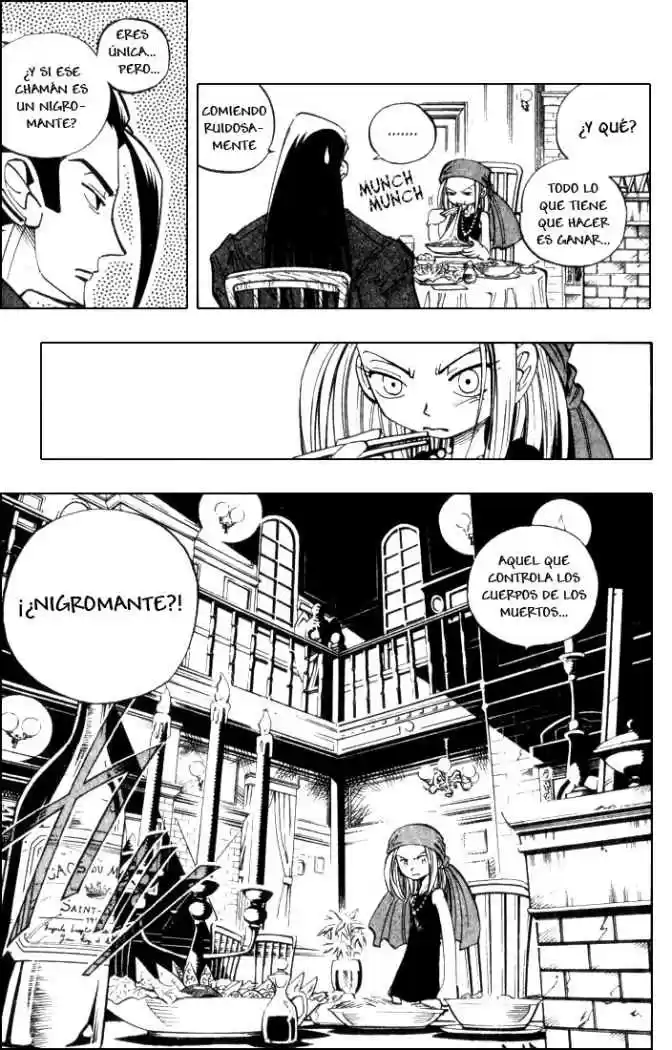 Shaman King capítulo 39, página 8