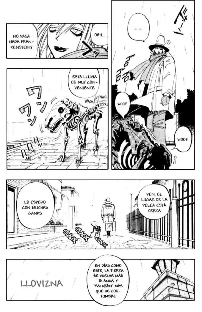 Shaman King capítulo 39, página 12