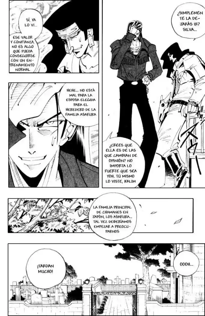 Shaman King capítulo 39, página 14