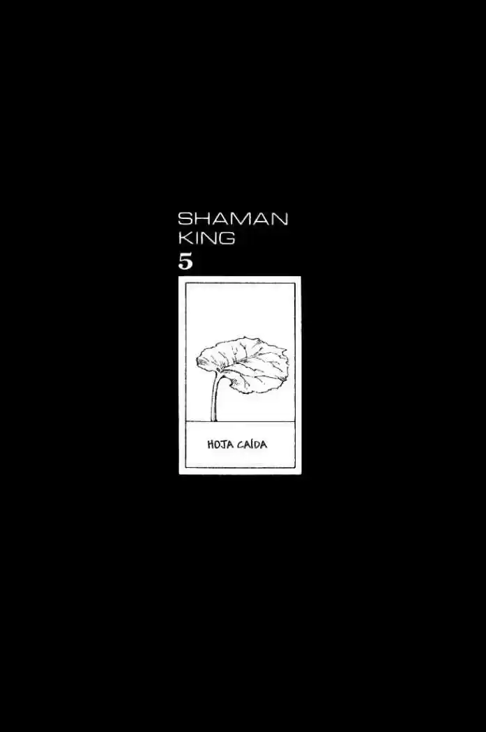 Shaman King capítulo 39, página 16