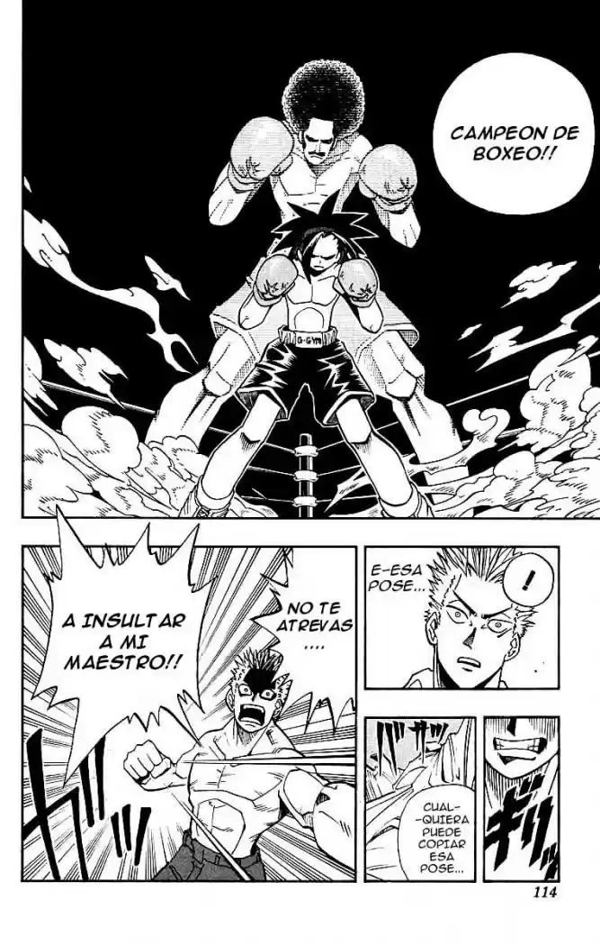 Shaman King capítulo 4, página 14