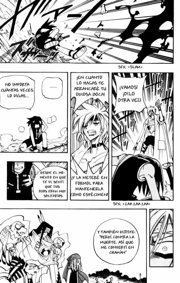 Shaman King capítulo 45, página 14