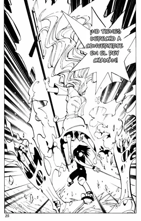 Shaman King capítulo 45, página 24
