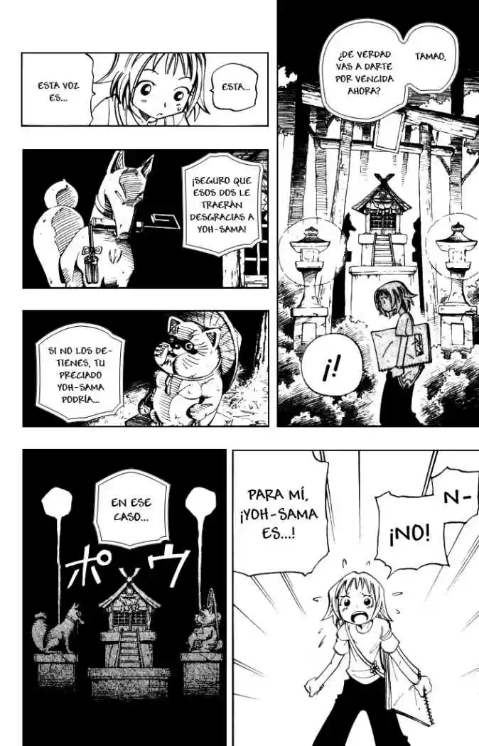 Shaman King capítulo 49, página 13