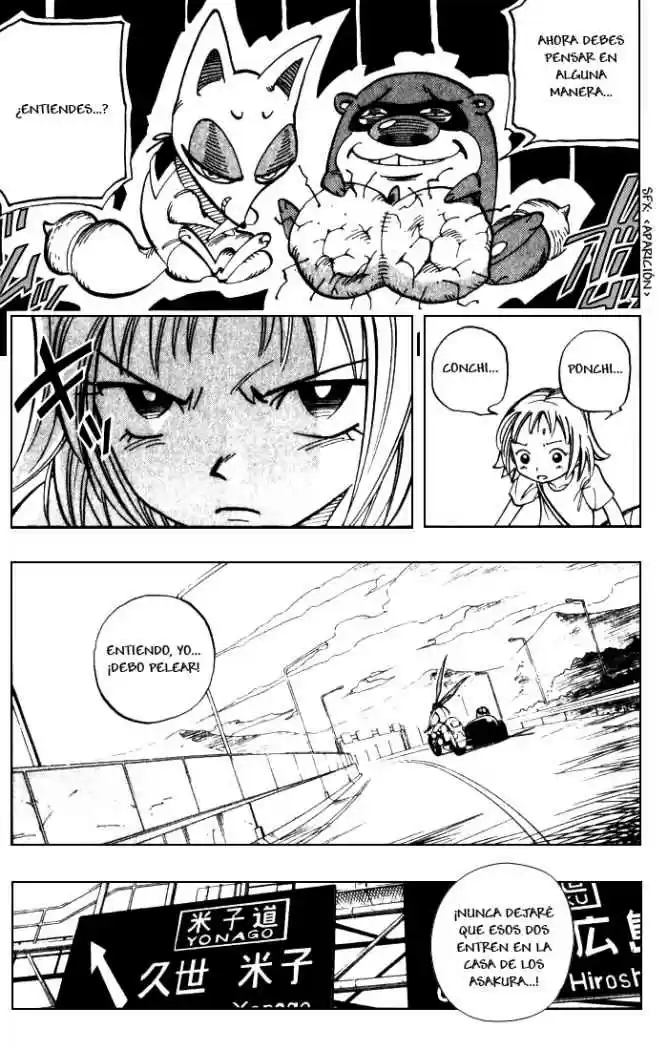 Shaman King capítulo 49, página 14