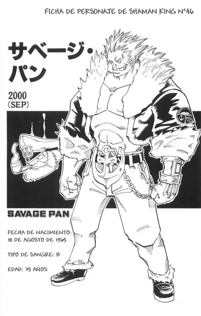 Shaman King capítulo 87, página 21