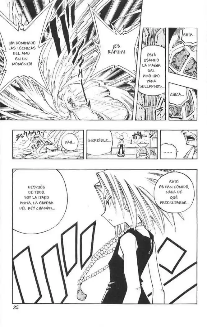 Shaman King capítulo 90, página 24