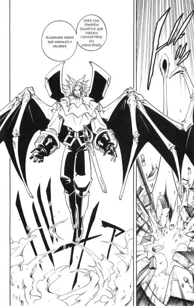 Shaman King capítulo 97, página 14