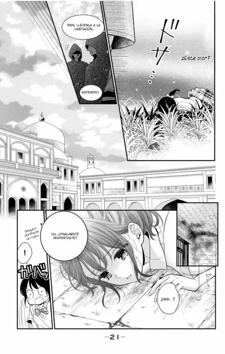Sheik-sama To Harem De capítulo 21, página 24