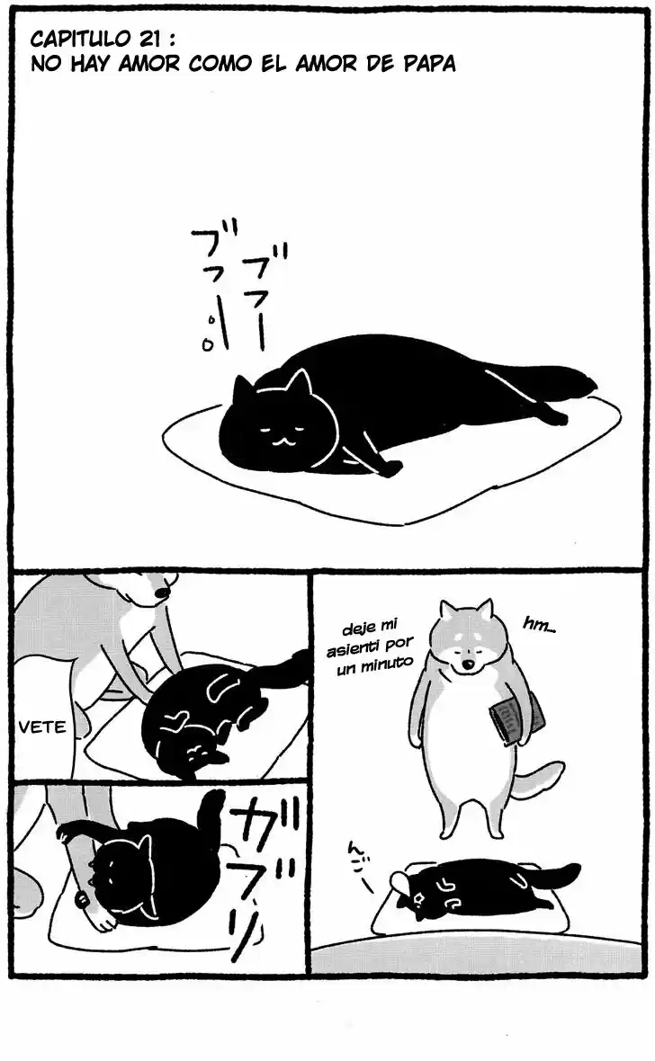 Shiba Occhan capítulo 21, página 1