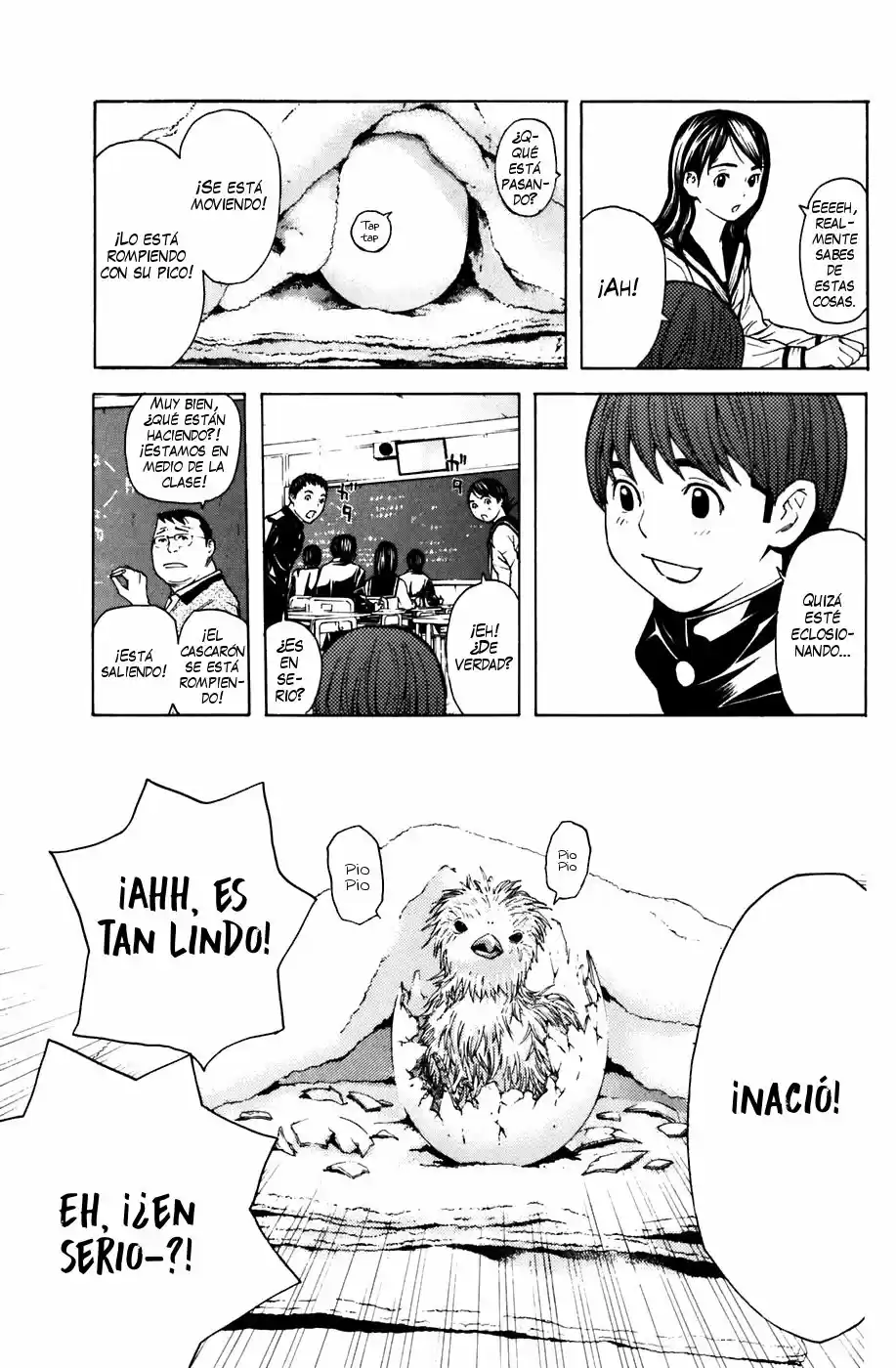 Shibatora capítulo 48, página 3