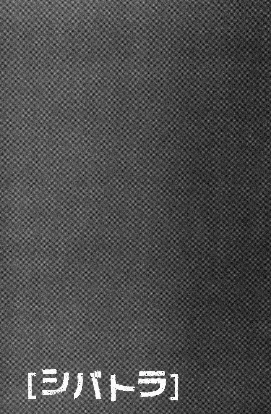 Shibatora capítulo 63, página 22