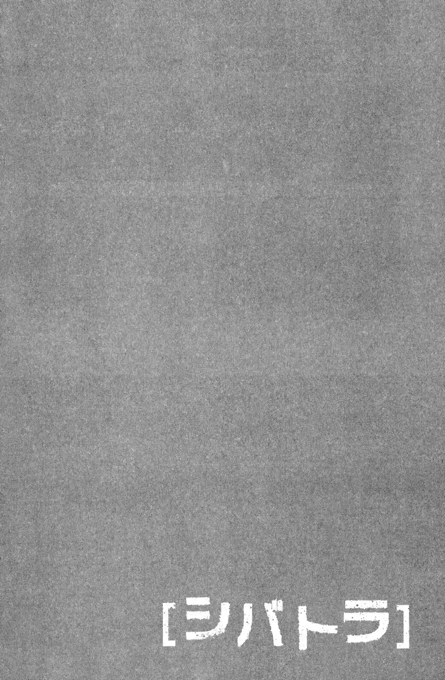 Shibatora capítulo 68, página 28