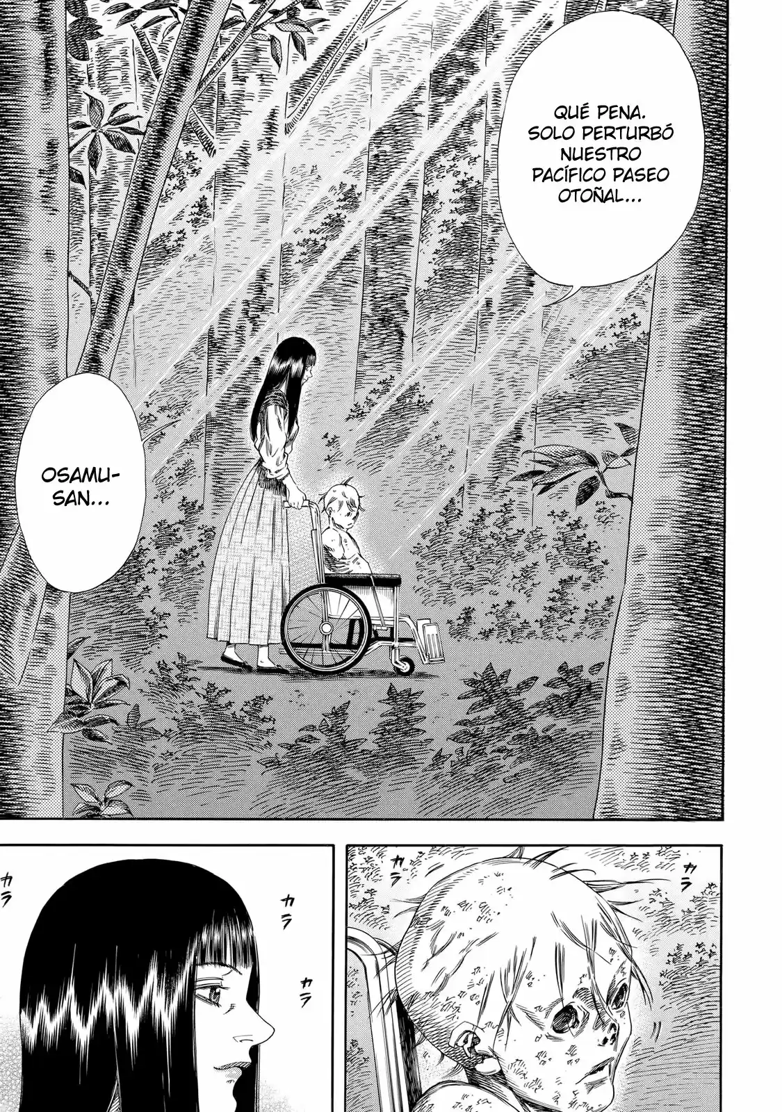 Shiga Hime capítulo 30, página 14