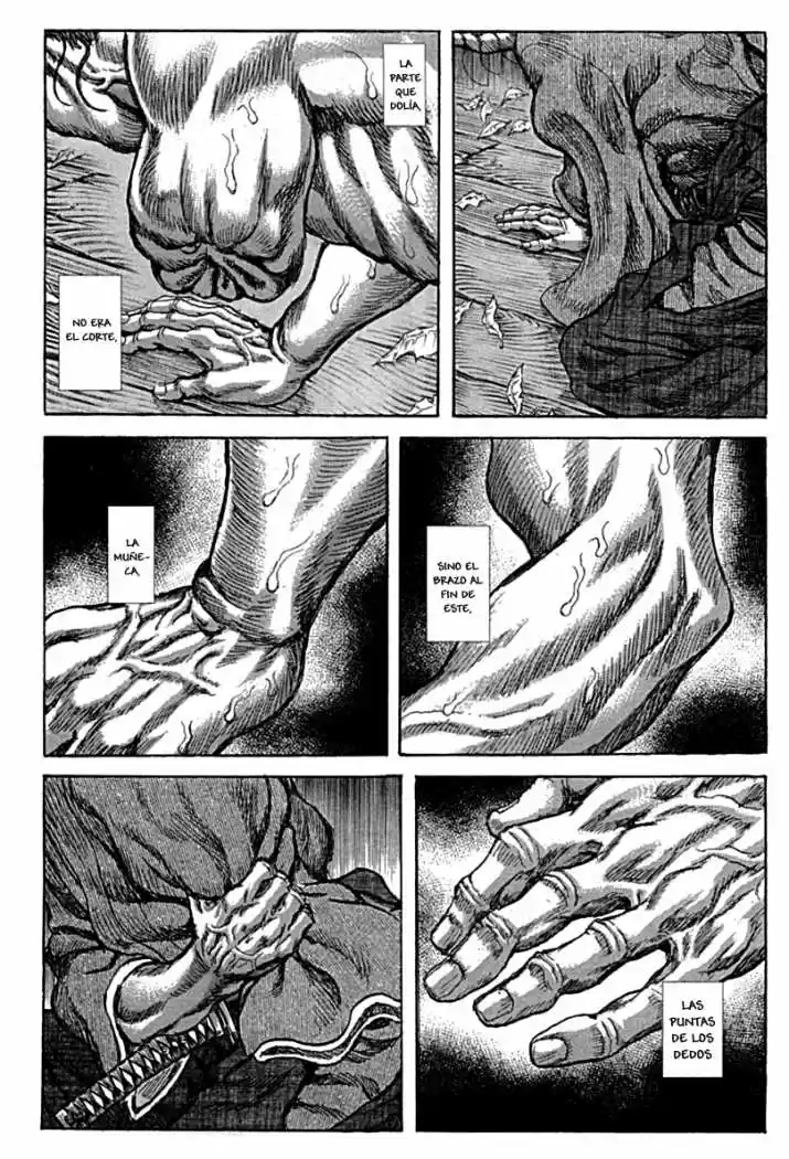 Shigurui capítulo 59, página 15