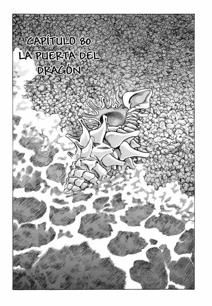 Shigurui capítulo 80, página 1