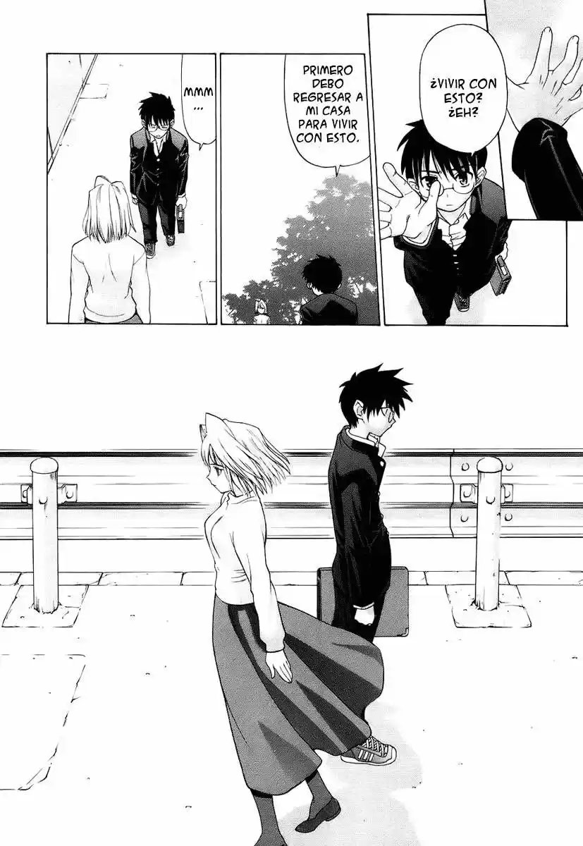 Shingetsutan Tsukihime capítulo 1, página 19