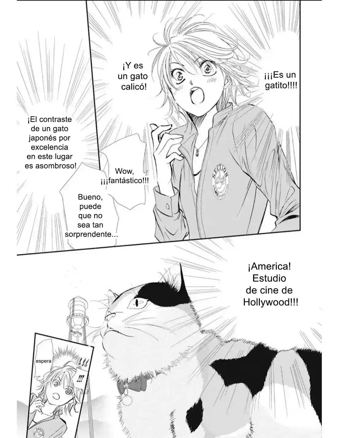 Skip Beat! capítulo 314, página 15