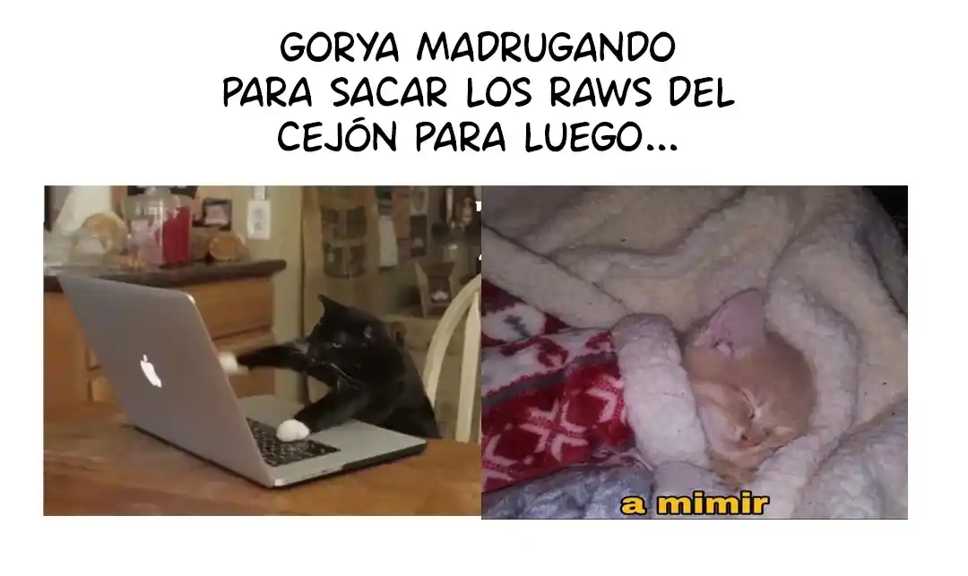 Sugar Rain capítulo 33, página 73