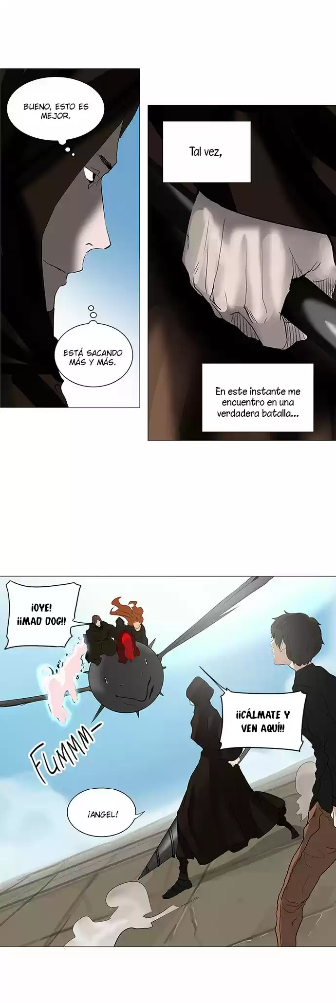 Torre De Dios capítulo 229, página 15