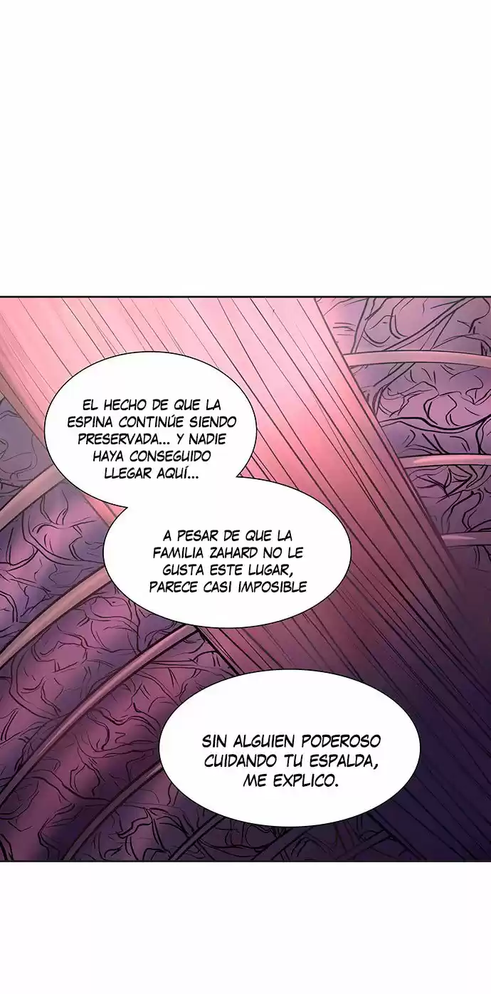 Torre De Dios capítulo 336, página 77