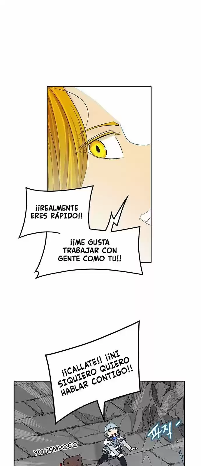 Torre De Dios capítulo 354, página 14
