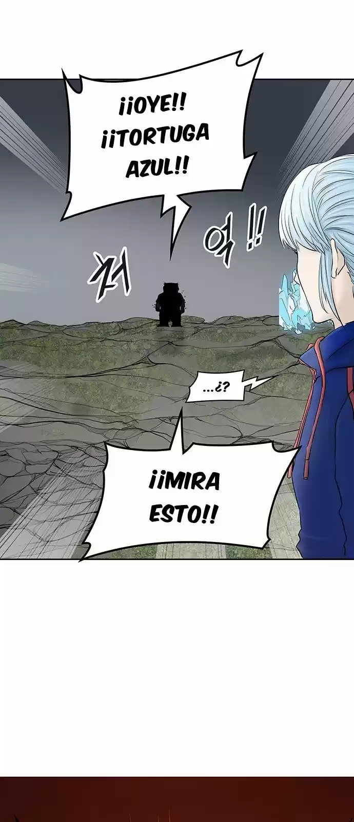 Torre De Dios capítulo 376, página 8