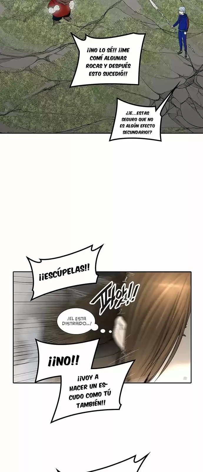 Torre De Dios capítulo 376, página 13