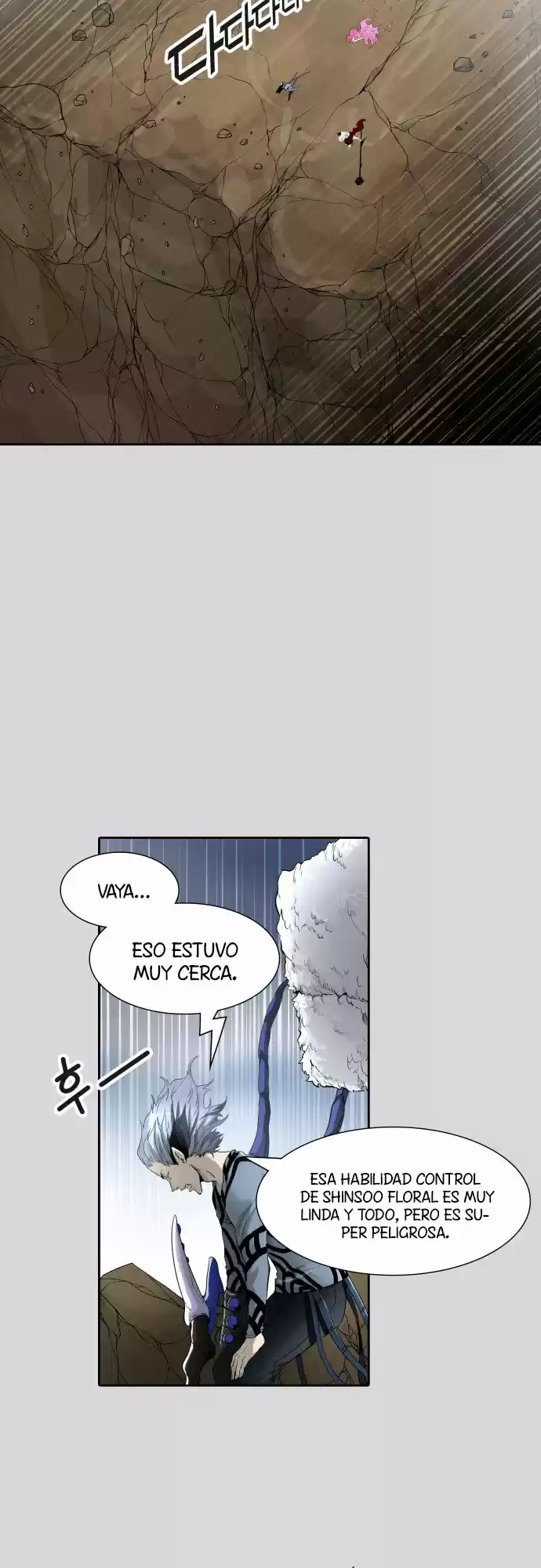 Torre De Dios capítulo 457, página 10