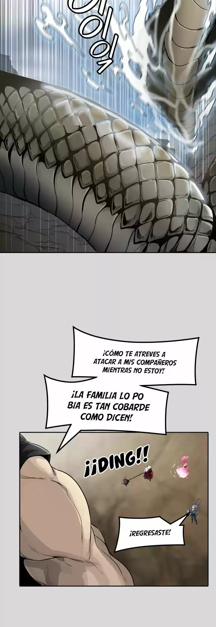 Torre De Dios capítulo 457, página 17