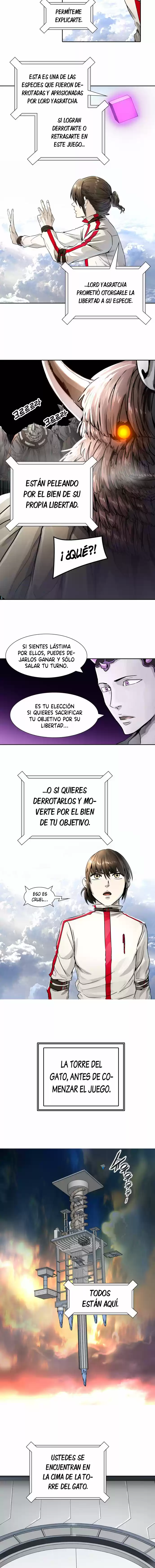 Torre De Dios capítulo 487, página 13