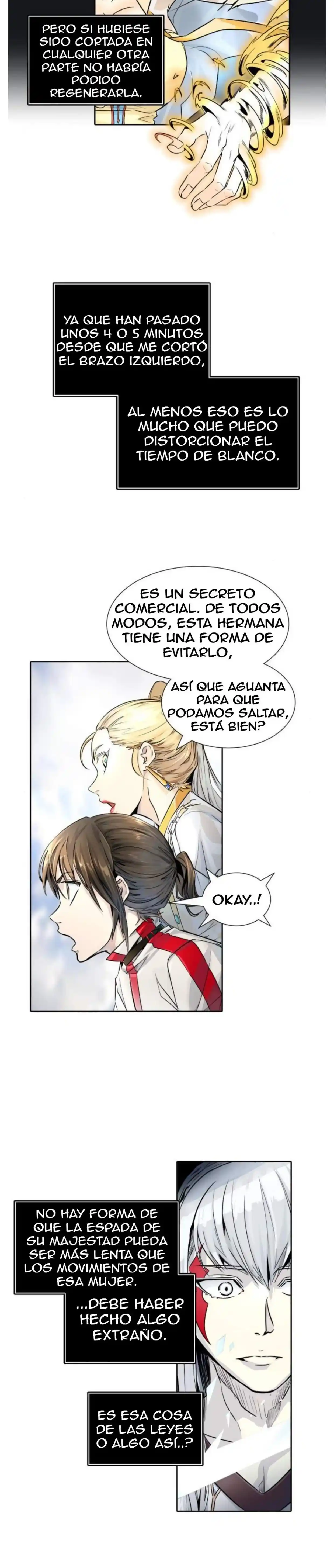 Torre De Dios capítulo 498, página 17
