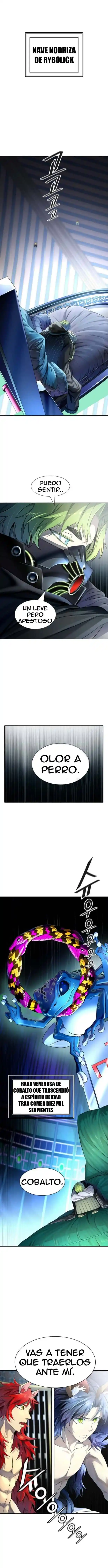 Torre De Dios capítulo 532, página 10