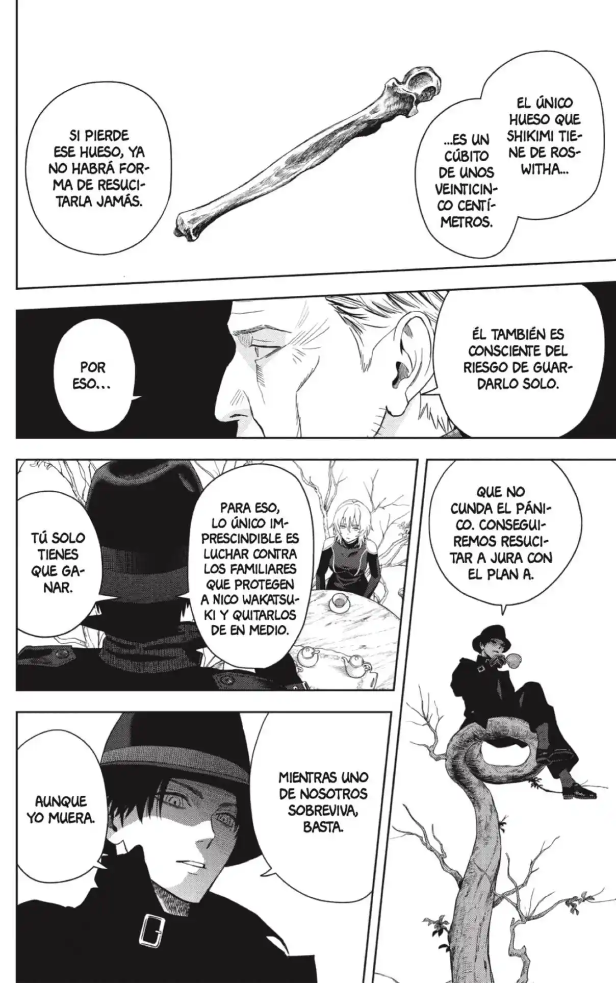 Witch Watch capítulo 227, página 14