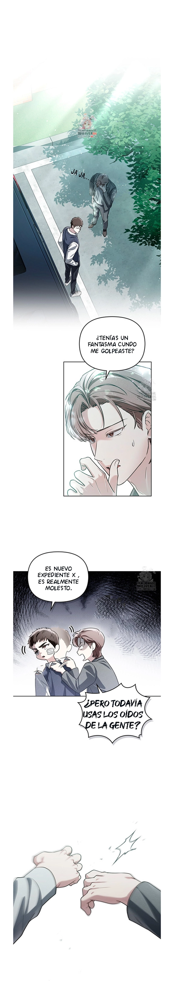 Llama Espiritual capítulo 13, página 1