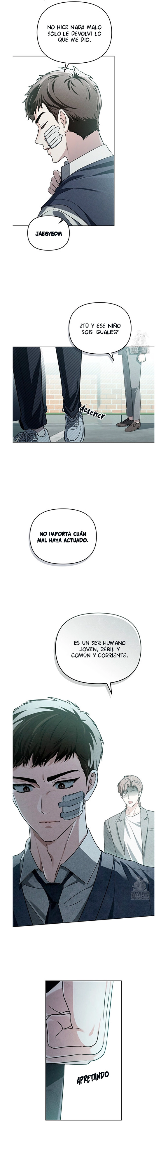 Llama Espiritual capítulo 13, página 2