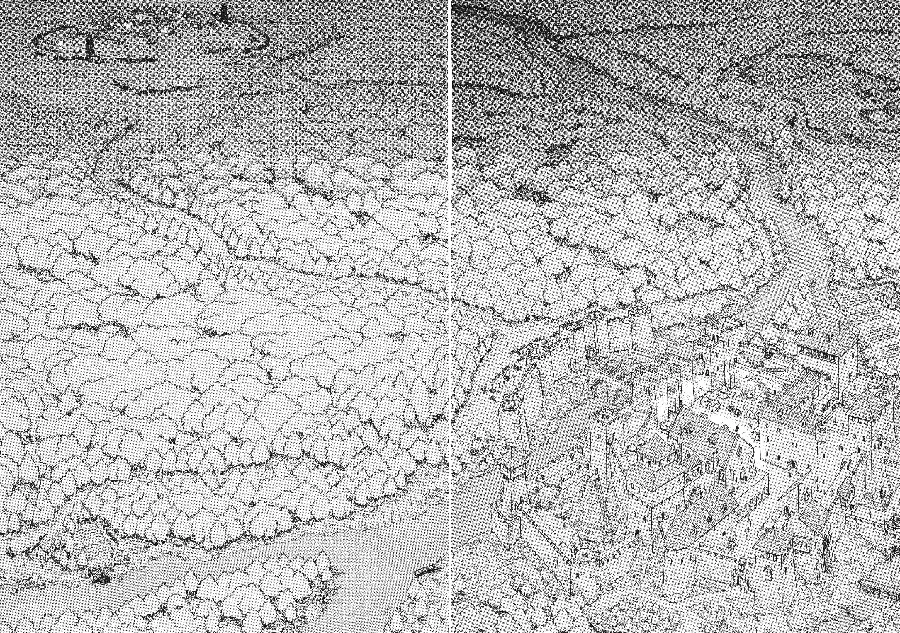 Berserk capítulo 0.1, página 22