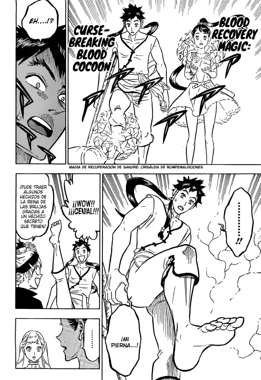 Black Clover capítulo 102, página 14