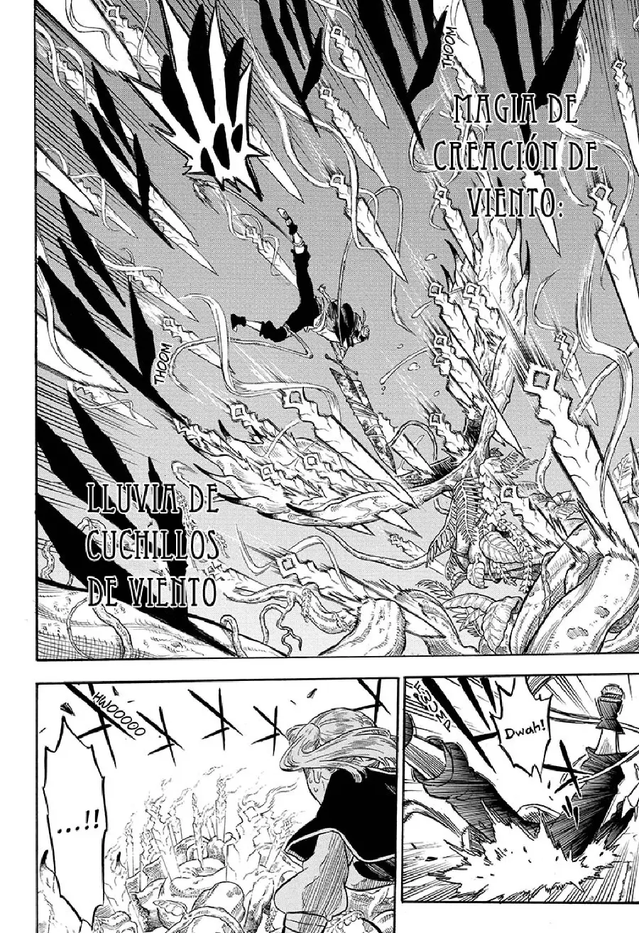 Black Clover capítulo 11, página 17