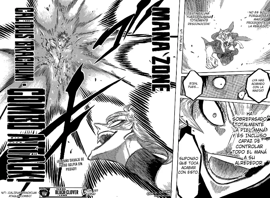 Black Clover capítulo 137, página 15