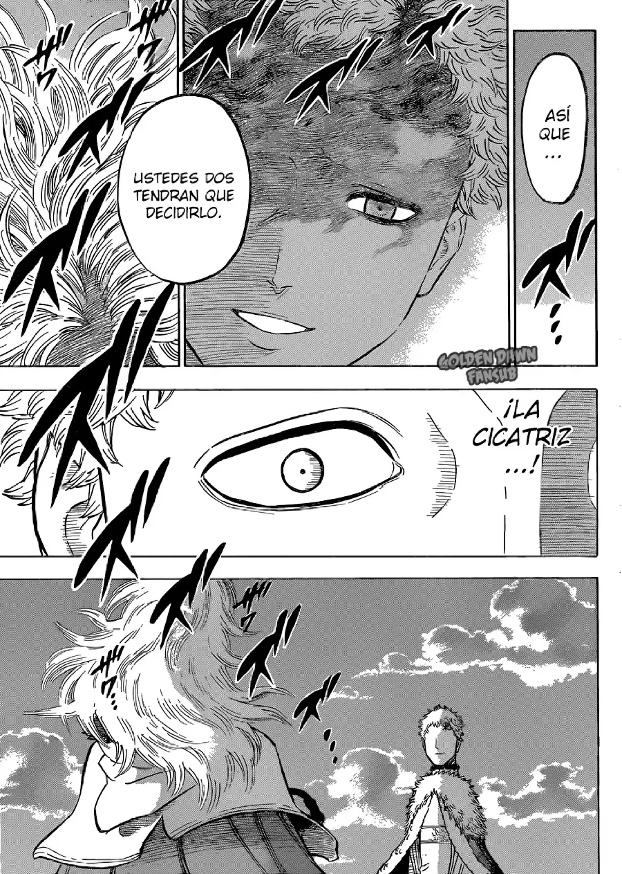 Black Clover capítulo 142, página 15
