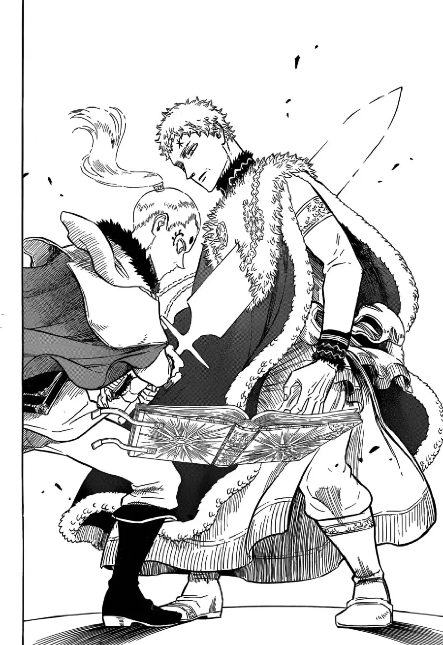 Black Clover capítulo 145, página 14