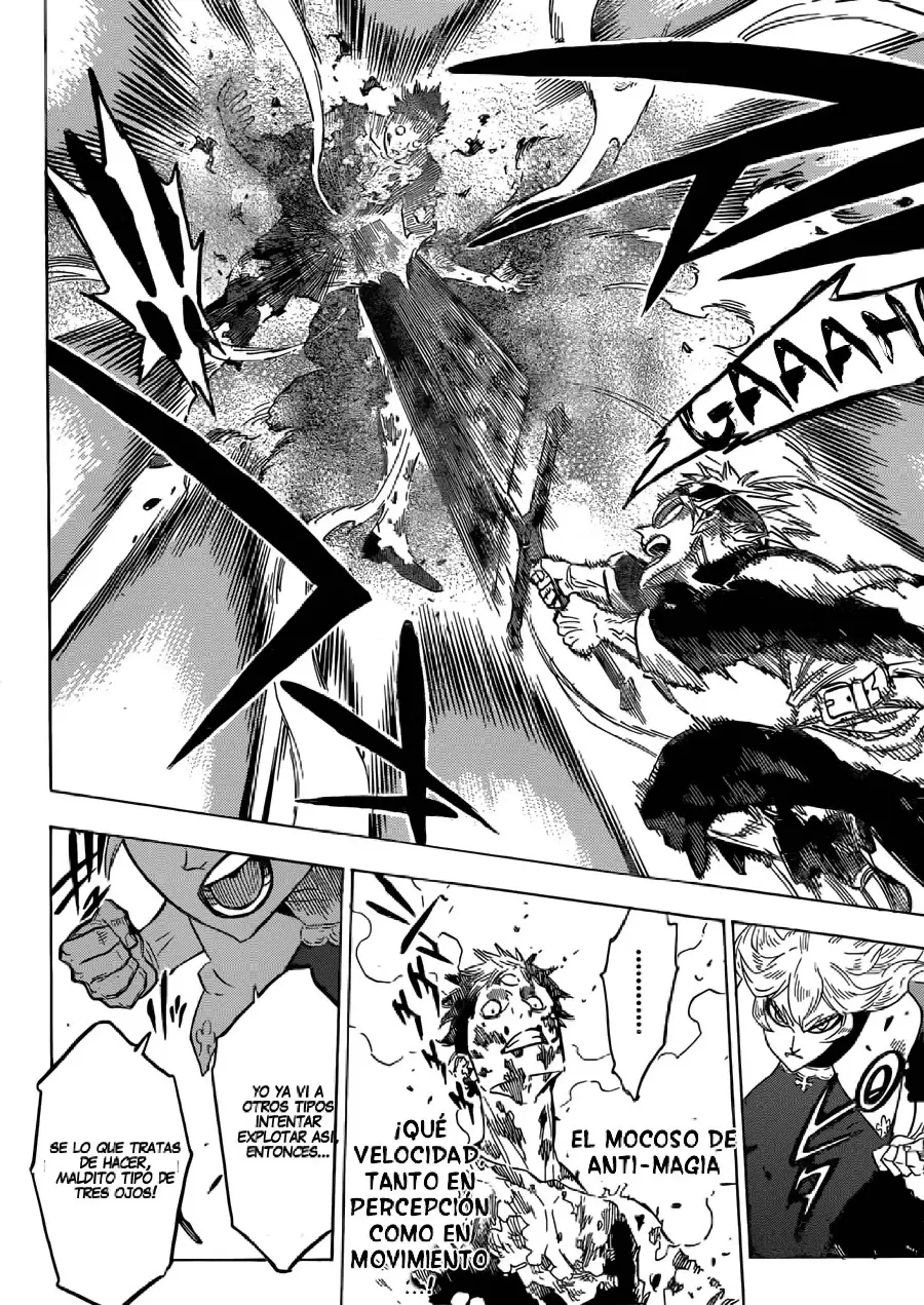Black Clover capítulo 146, página 14