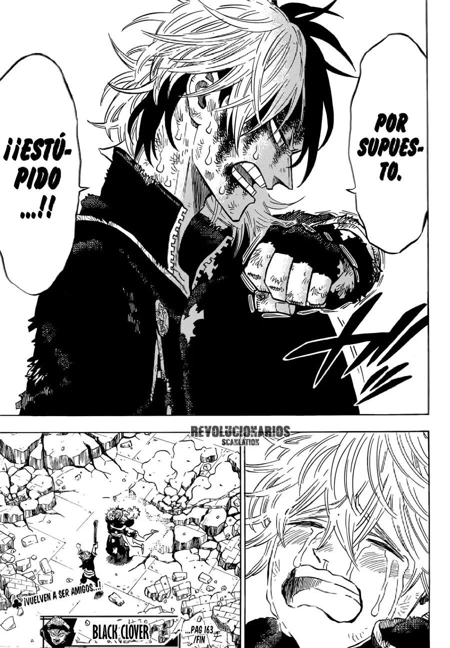 Black Clover capítulo 163, página 13