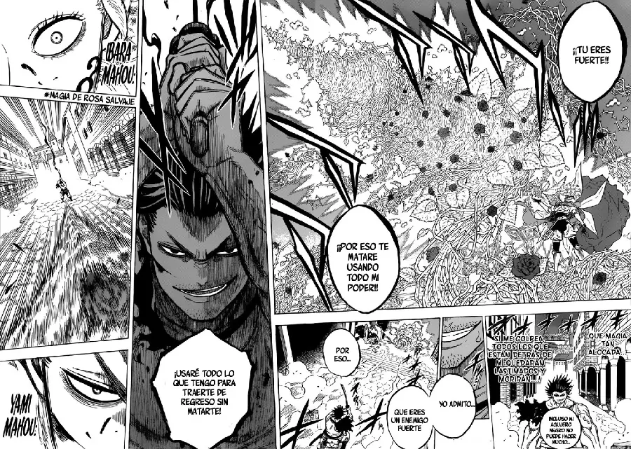Black Clover capítulo 169, página 13