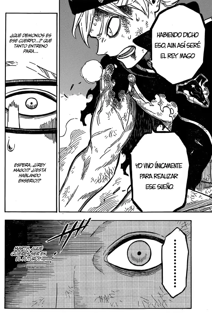 Black Clover capítulo 17, página 14