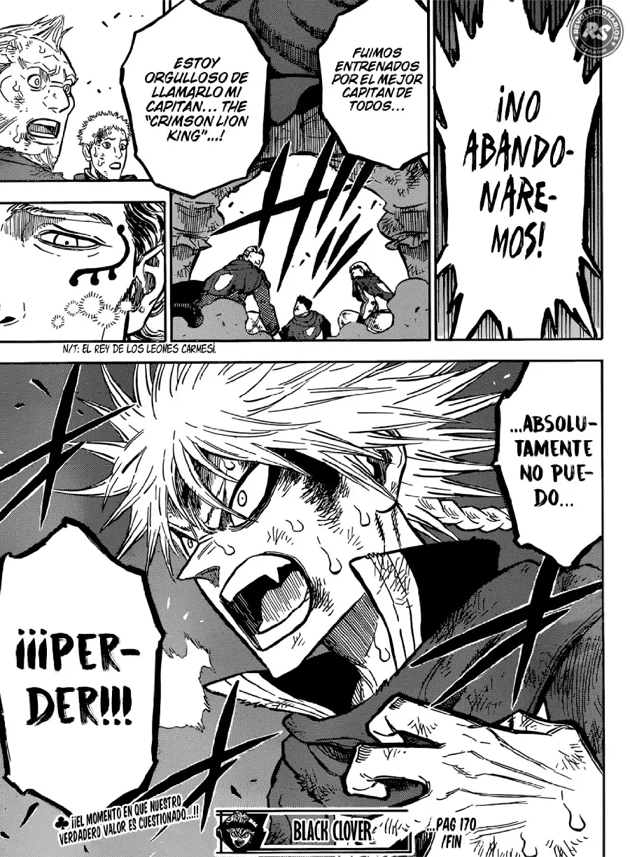 Black Clover capítulo 170, página 17