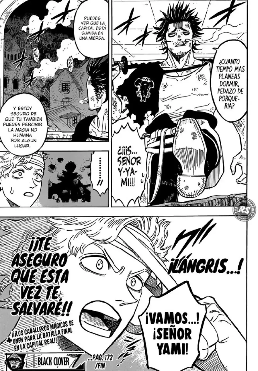 Black Clover capítulo 172, página 13