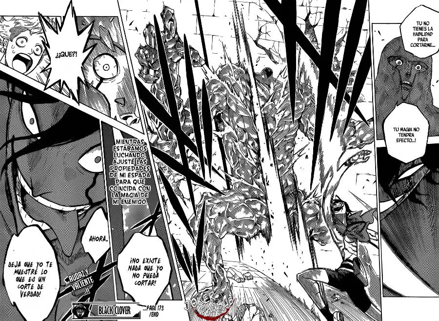 Black Clover capítulo 173, página 17